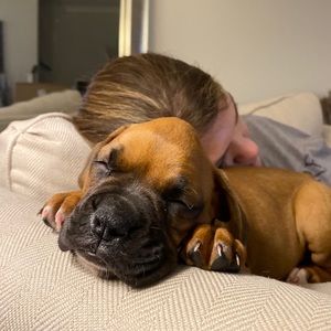 Meet your Posher, Wendy